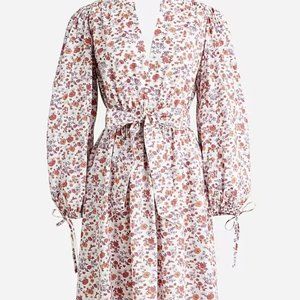 J. Crew Tie-waist V-neck Dress in Windsor Floral